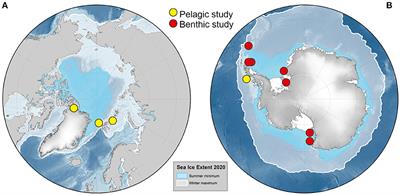 Editorial: Effects of Ice Loss on Marine Biodiversity